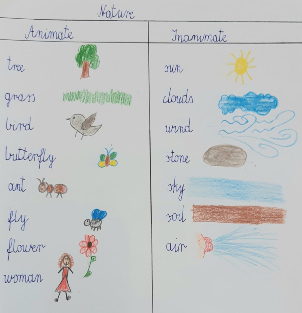 Animate & Inanimate Nature SP162 w Krakowie