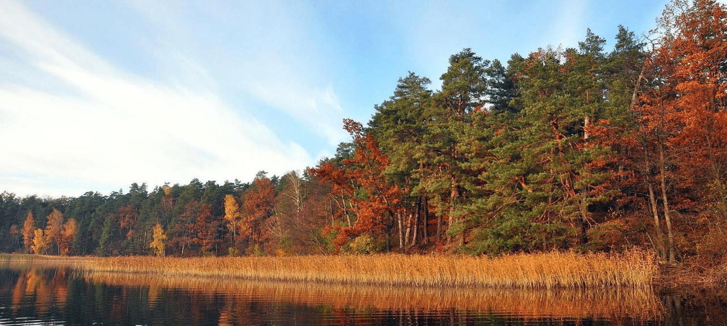 ZEBRANIA i KONSULTACJE DLA RODZICÓW – 13.11.2025-logo