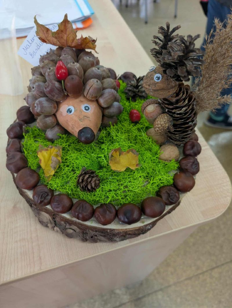 Zwierzaki Cudaki 2025 (11)