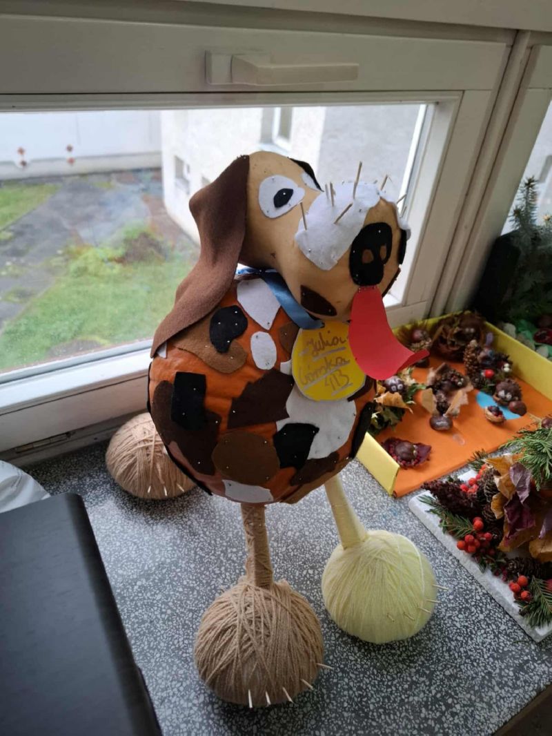 Zwierzaki Cudaki 2025 (13)