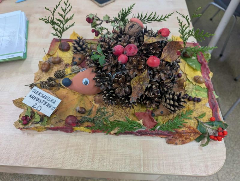 Zwierzaki Cudaki 2025 (14)