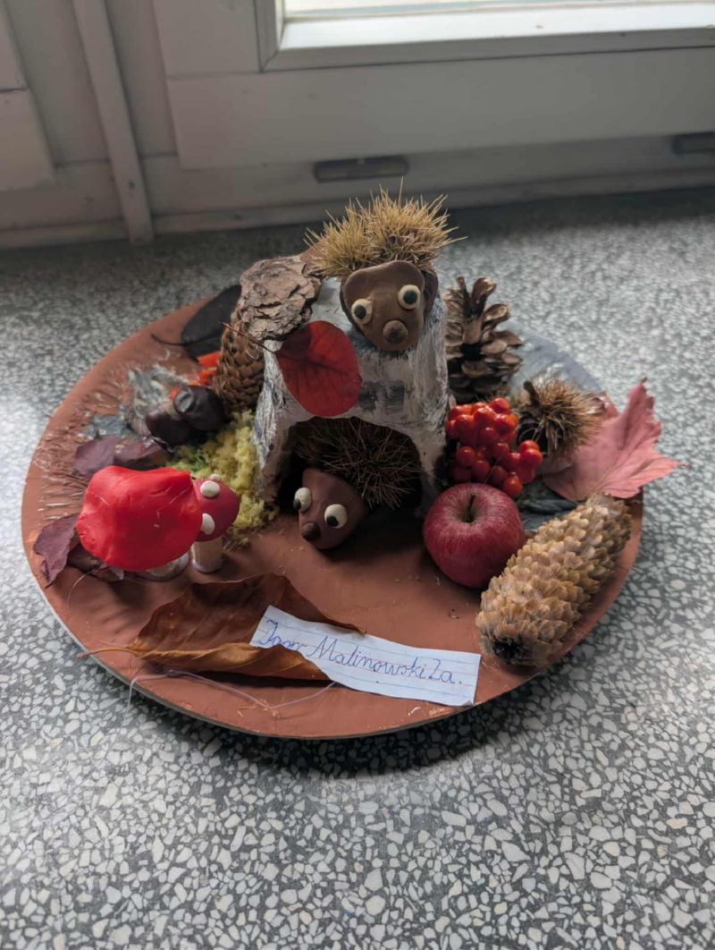 Zwierzaki Cudaki 2025 (15)