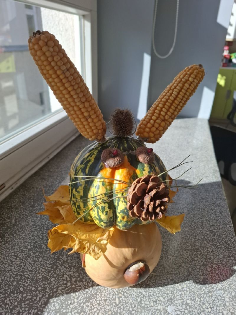 Zwierzaki Cudaki 2025 (16)