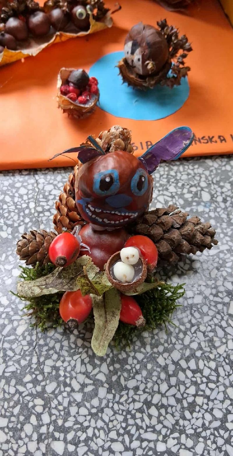 Zwierzaki Cudaki 2025 (21)