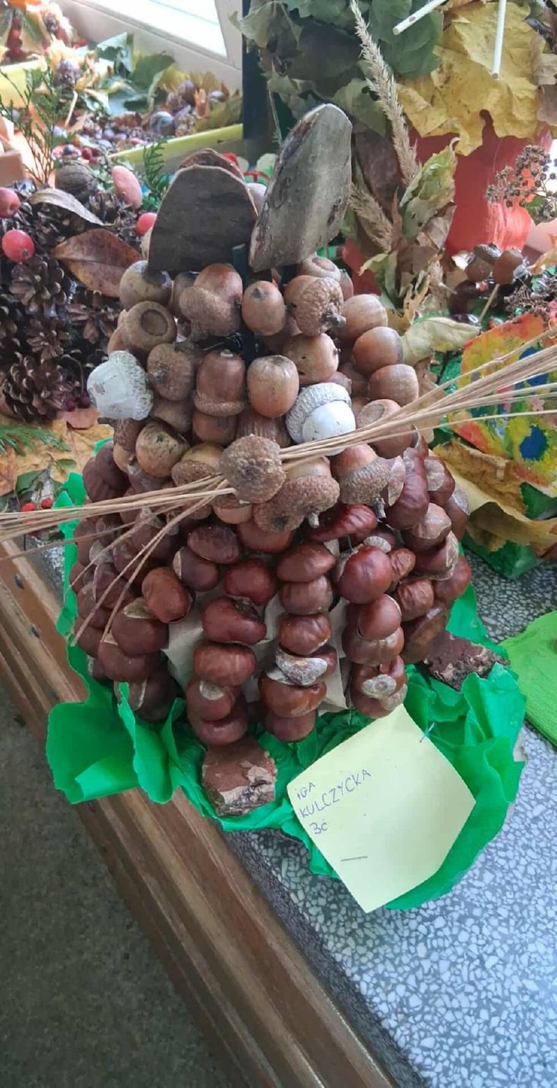 Zwierzaki Cudaki 2025 (4)