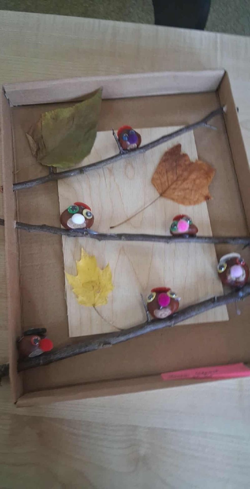 Zwierzaki Cudaki 2025 (5)