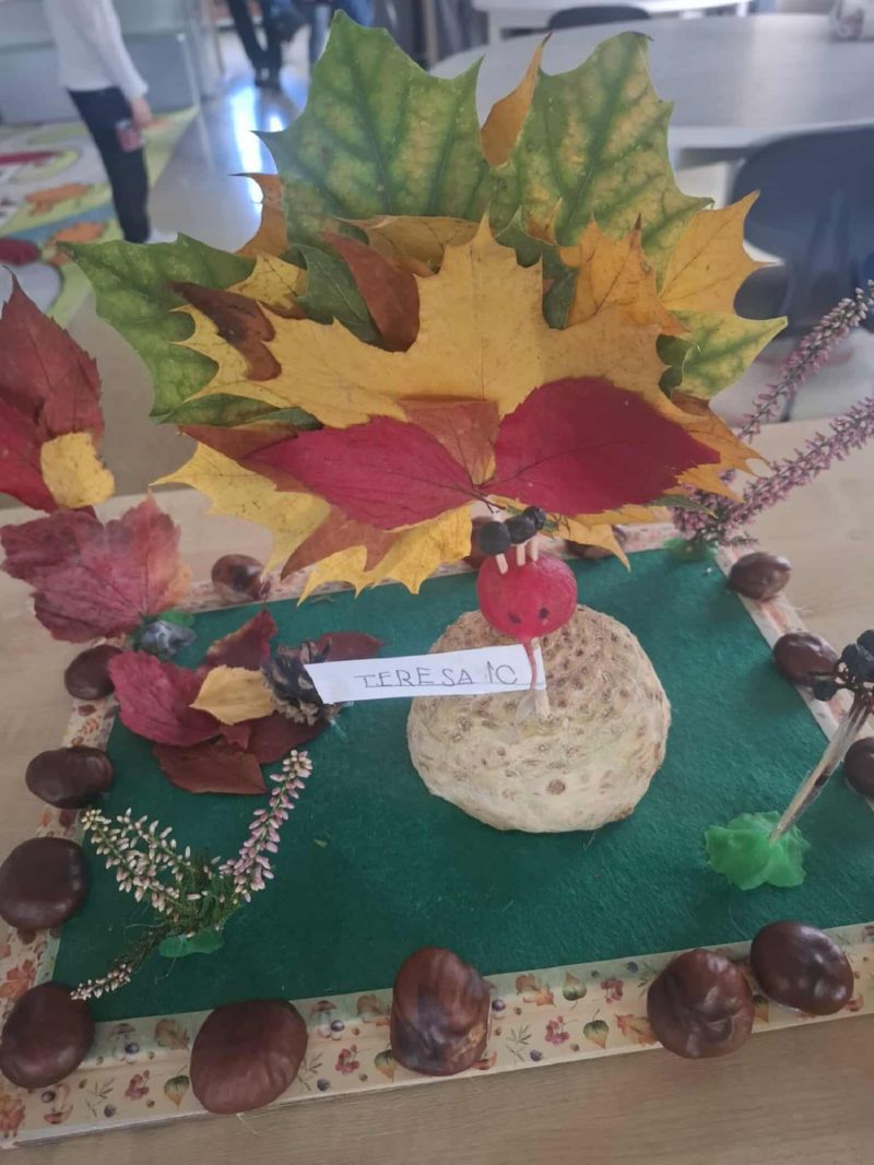 Zwierzaki Cudaki 2025 (6)