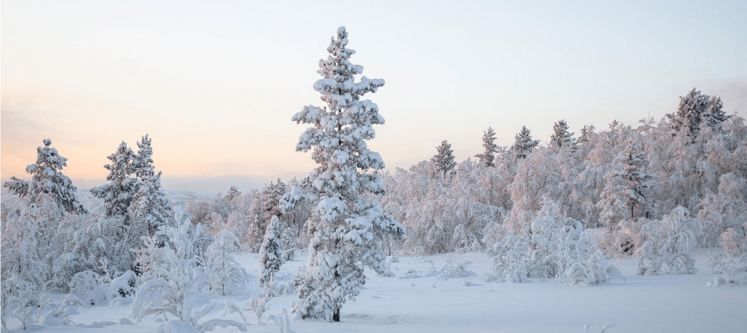 ZEBRANIA i KONSULTACJE DLA RODZICÓW – 11.12.2025-logo